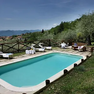 https://villa-belli-luxury-villa-with-saltwater-swimmingpool.it-tuscanyhotel.com
